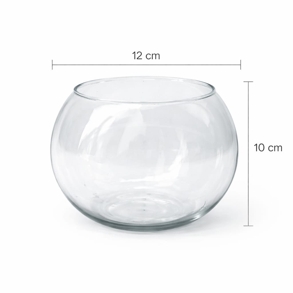 Terrario de cristal vacío para plantas y suculentas diseño minimalista
