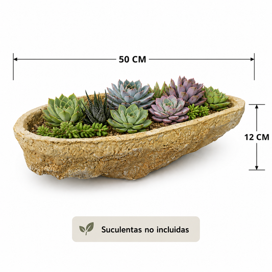 Maceta tipo roca big # 3 con suculentas