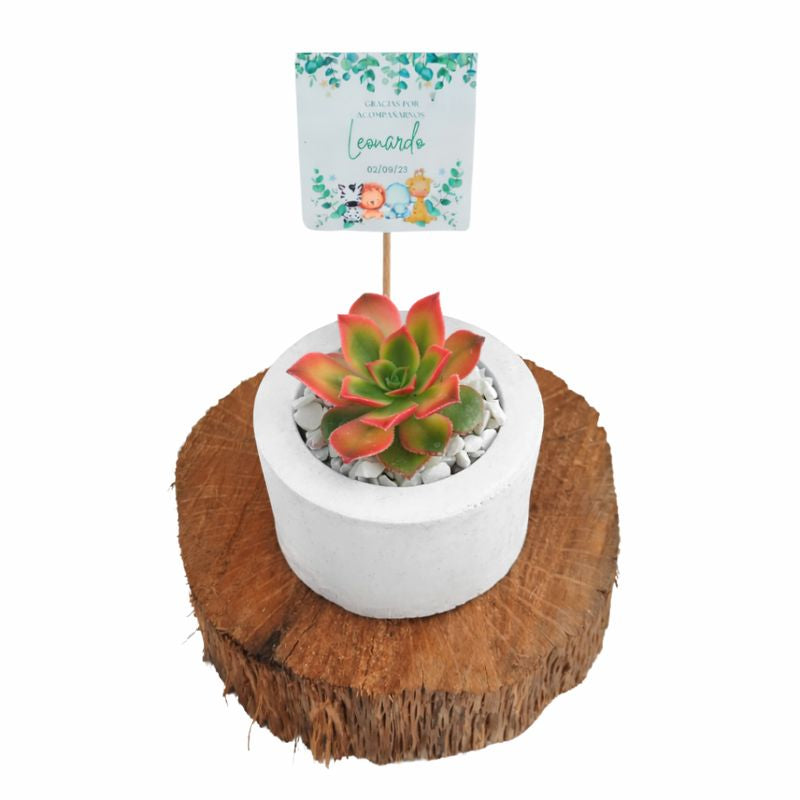 Mini cilindros de concreto | Vivo Interior