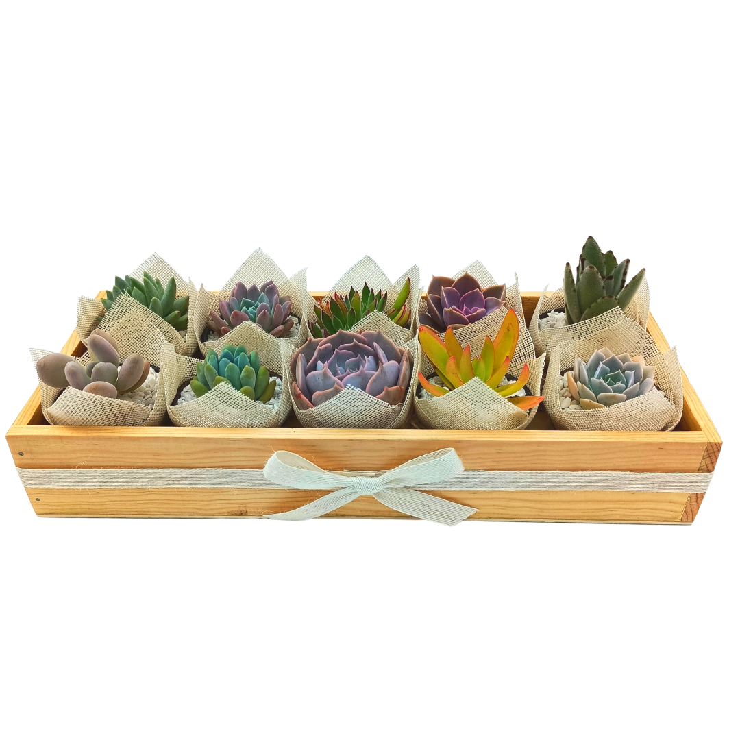 Sample box