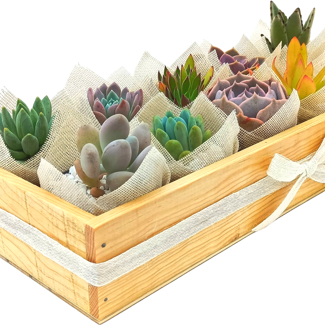 Sample box