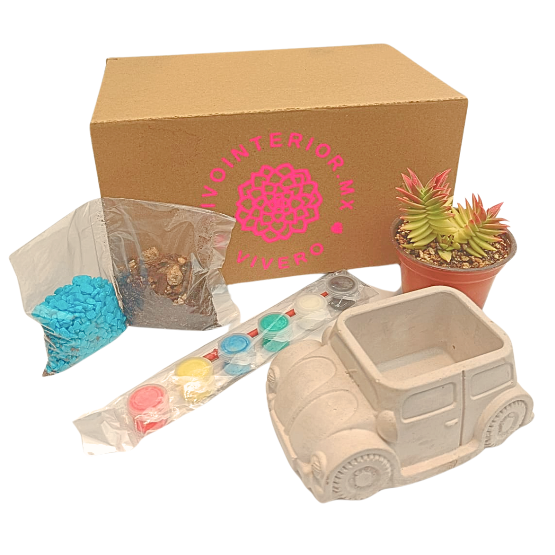 Sucukids carrito