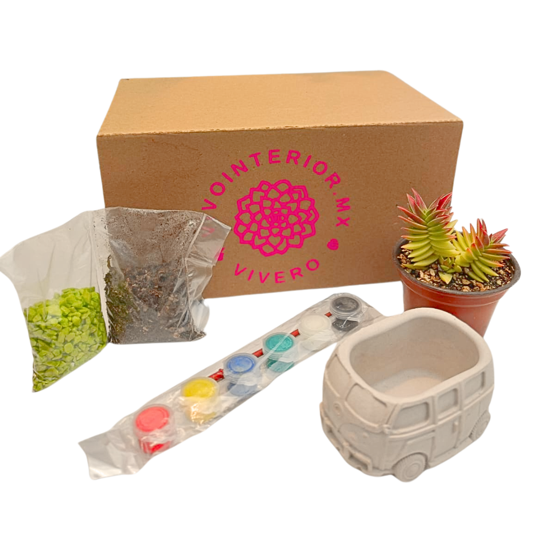 Sucukids combi