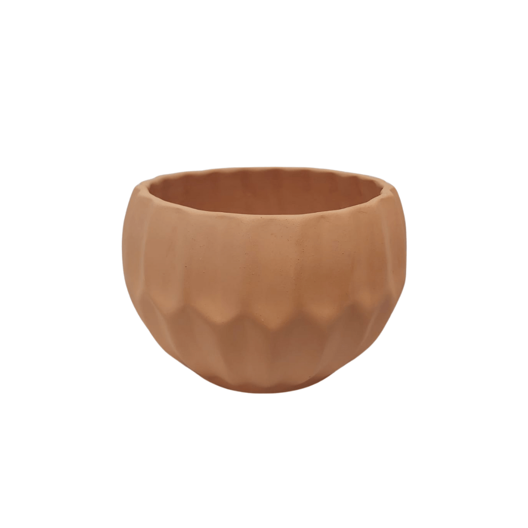 Bule rayado - Vivo Interior