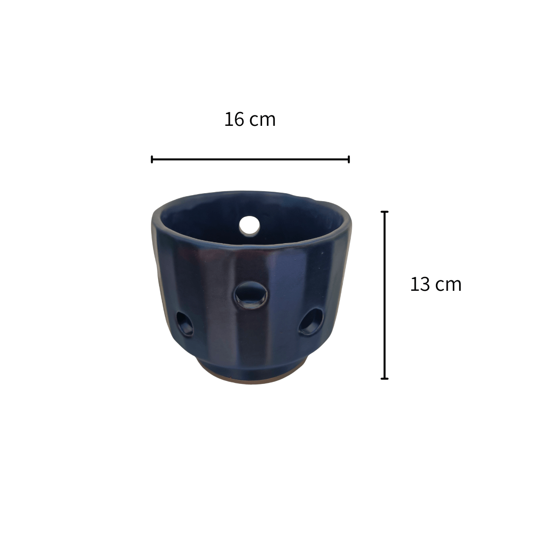 Capricornio orquídea - Vivo Interior