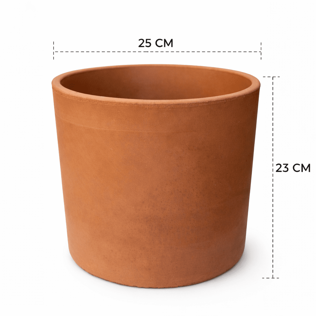 Cilindro California - Vivo Interior