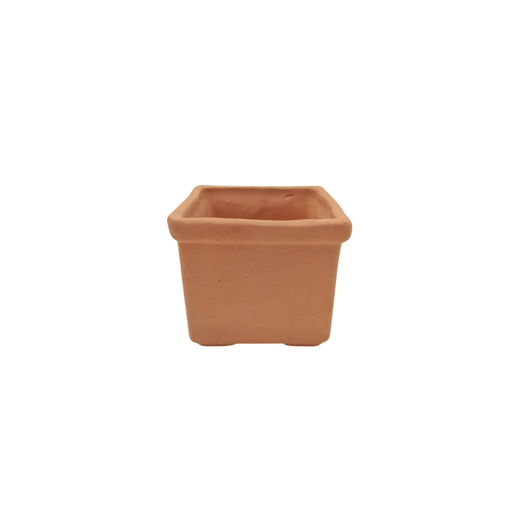 Cubo - Vivo Interior