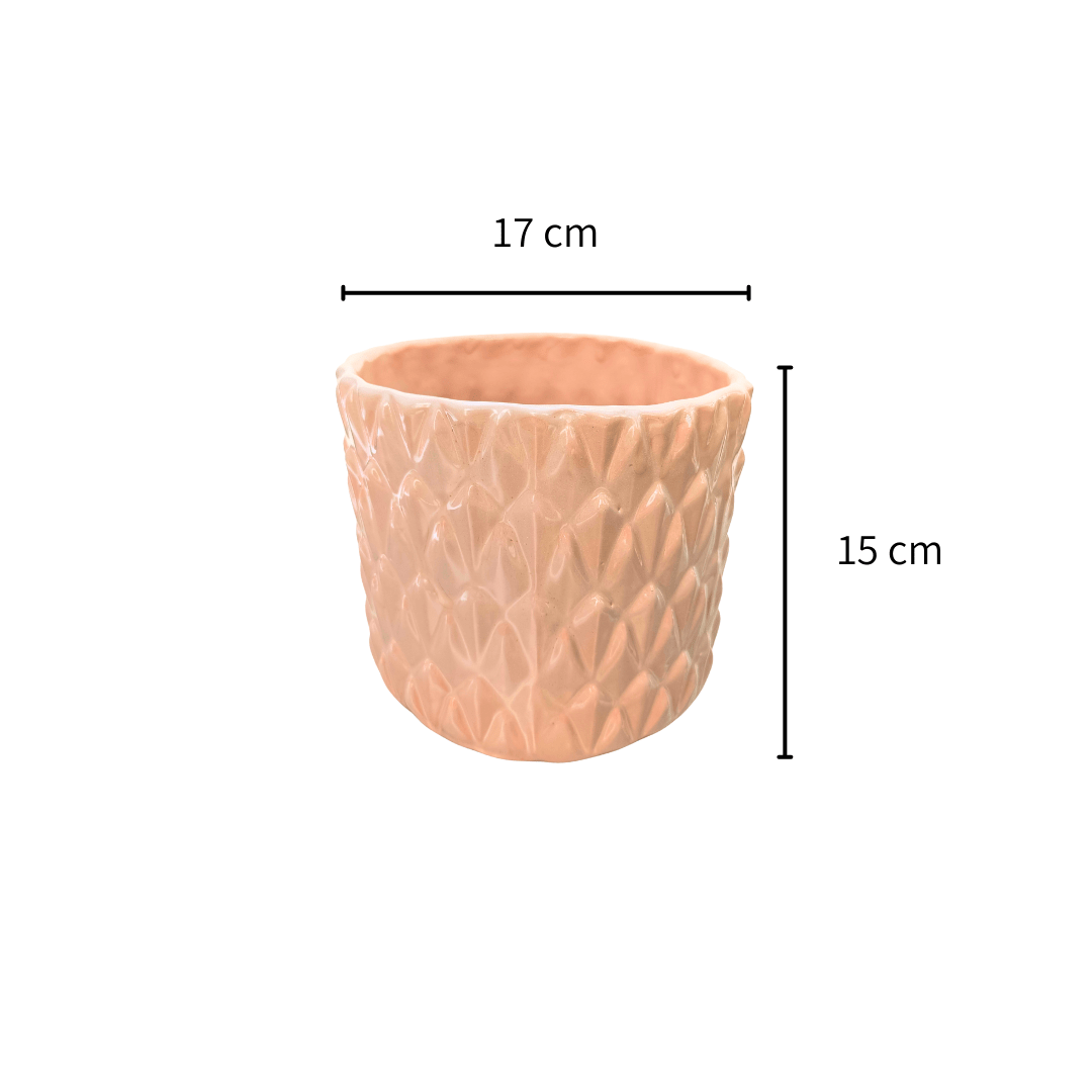 Euphoria - Vivo Interior