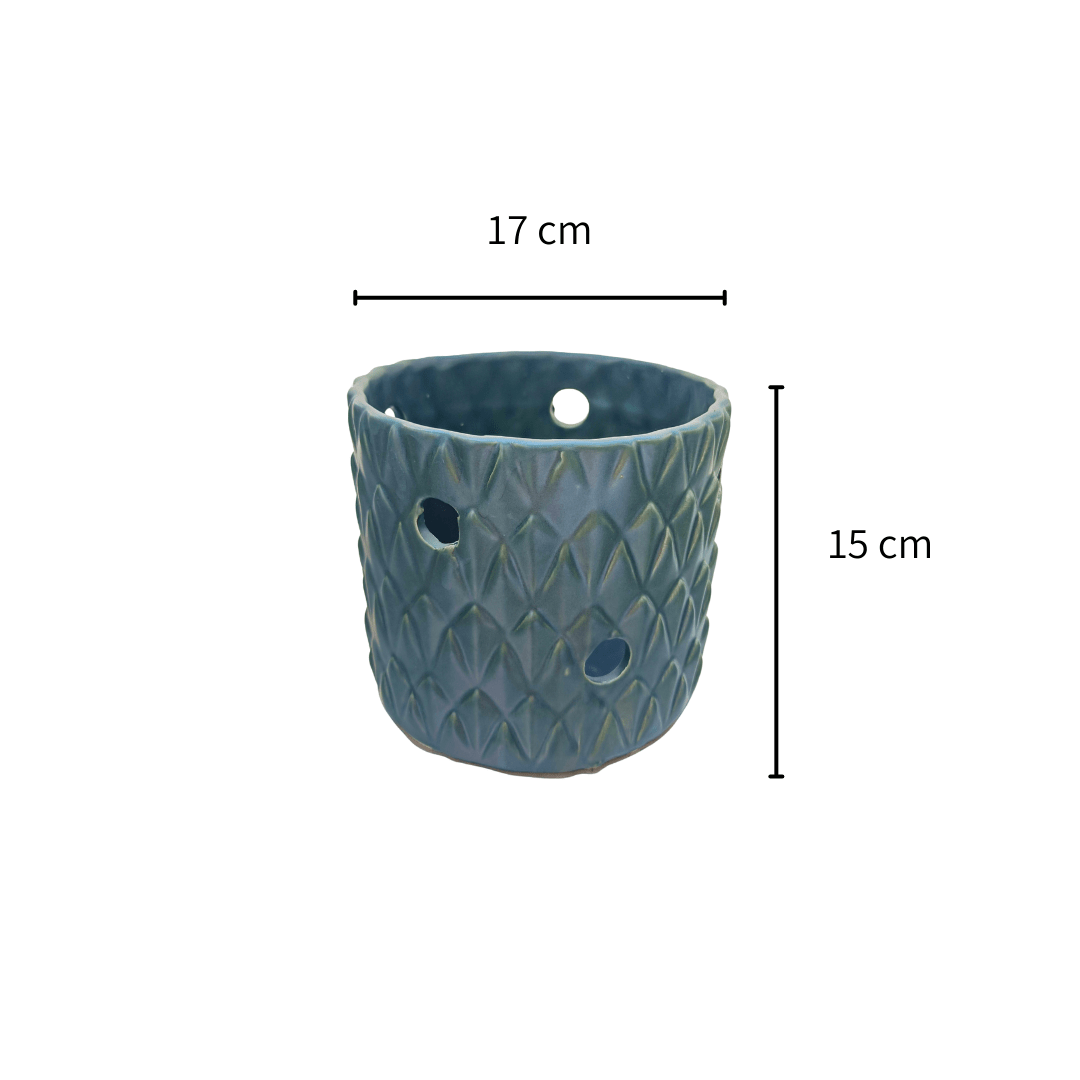 Euphoria orquídea - Vivo Interior