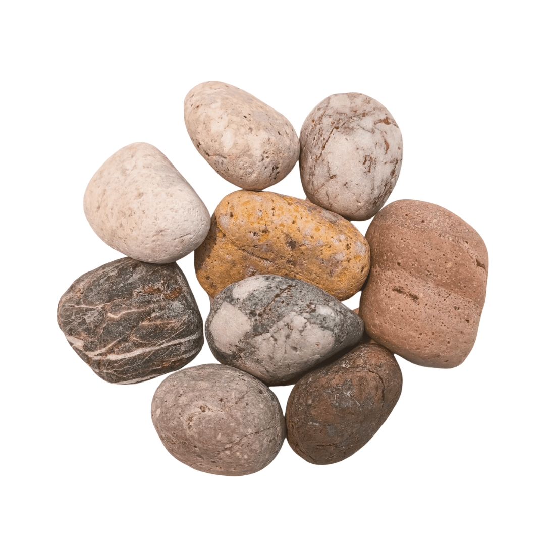 Piedra de mar "rara" - Vivo Interior