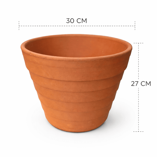 Piña - Vivo Interior