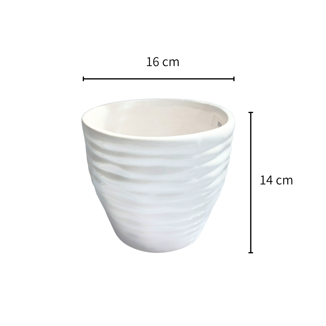 Vaso anillado