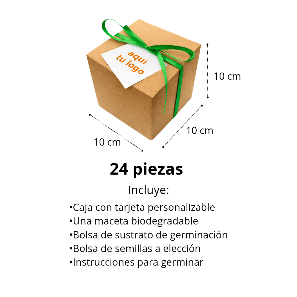 Kit de semillas (24 piezas)