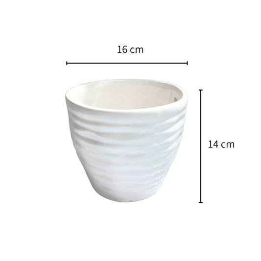 Vaso anillado - Vivo Interior