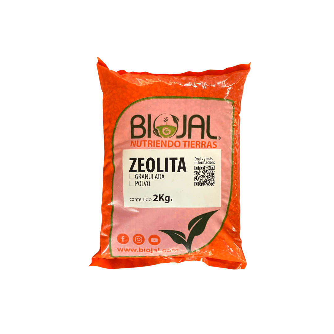 Zeolita - Vivo Interior