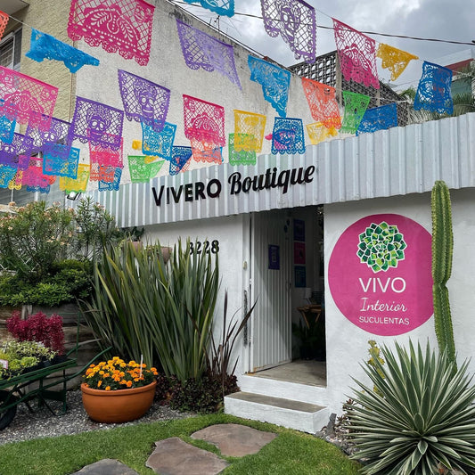 Beneficios de visitar un vivero - Vivo Interior