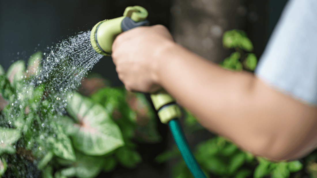 Cuidados para tu jardín - Vivo Interior