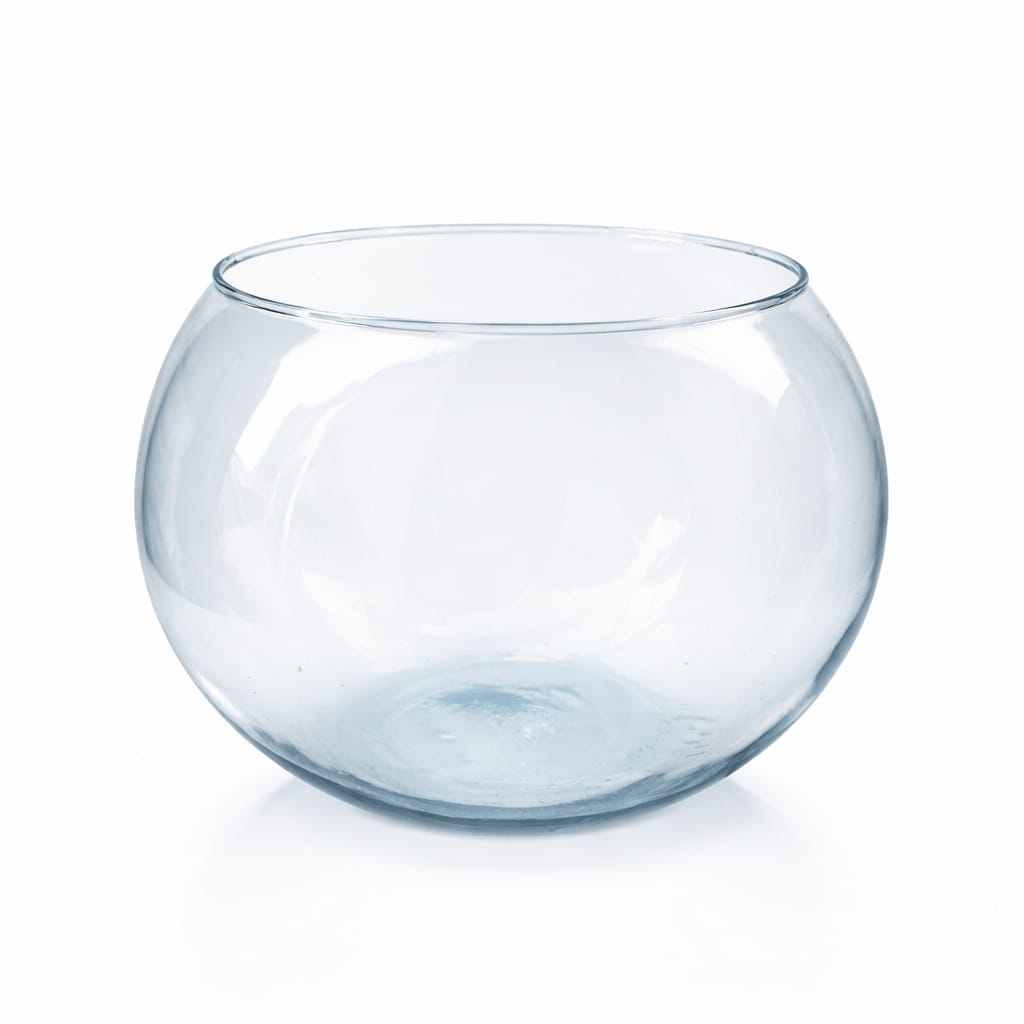 Recipiente de vidrio para terrarios ideal para suculentas y plantas decorativas