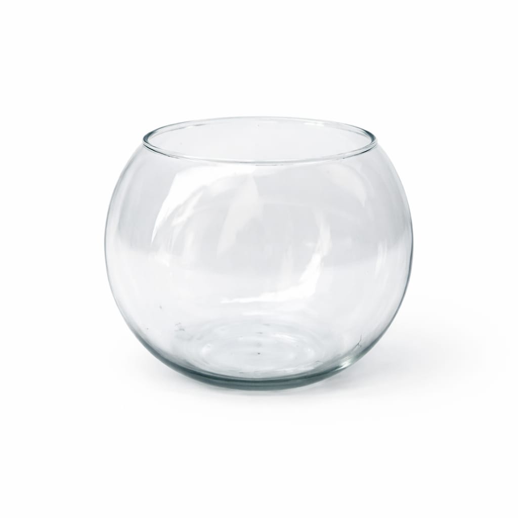 Base de cristal para terrario transparente de Vivo Interior con envío en Guadalajara