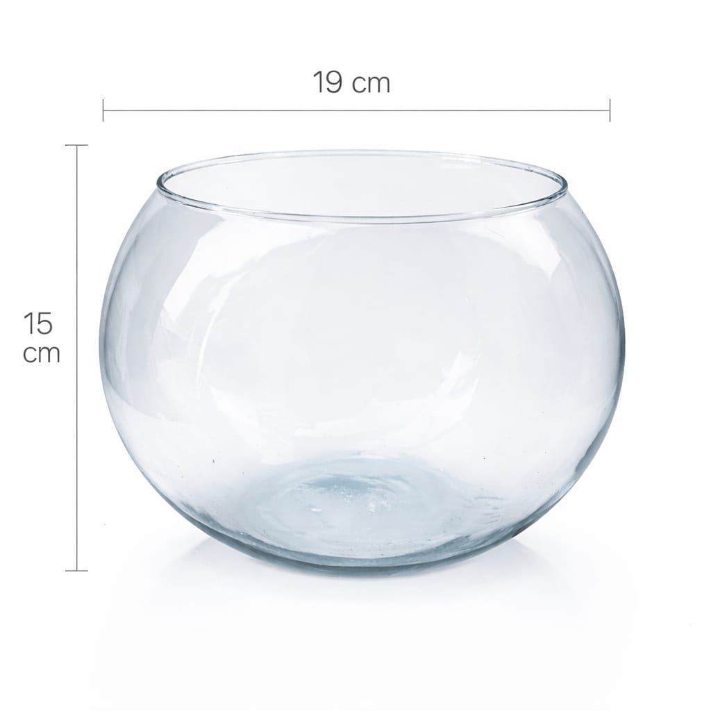 Base de cristal para crear terrarios modernos para decoración de interiores