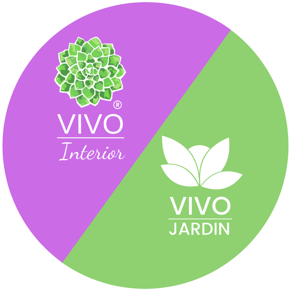 Grupo Vivo 