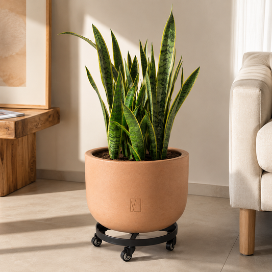 Maceta con base de herrería en interior 