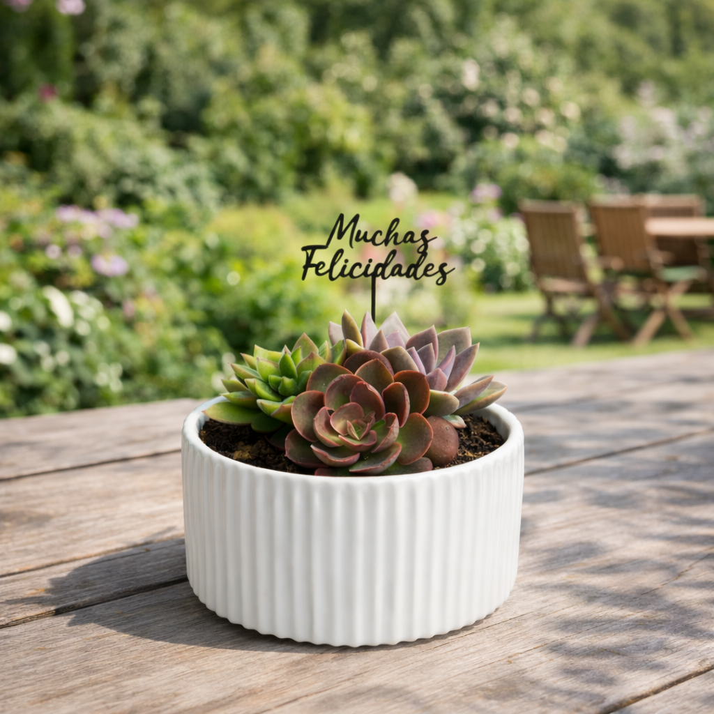 Topper decorativo para maceta con suculentas de Vivo Interior