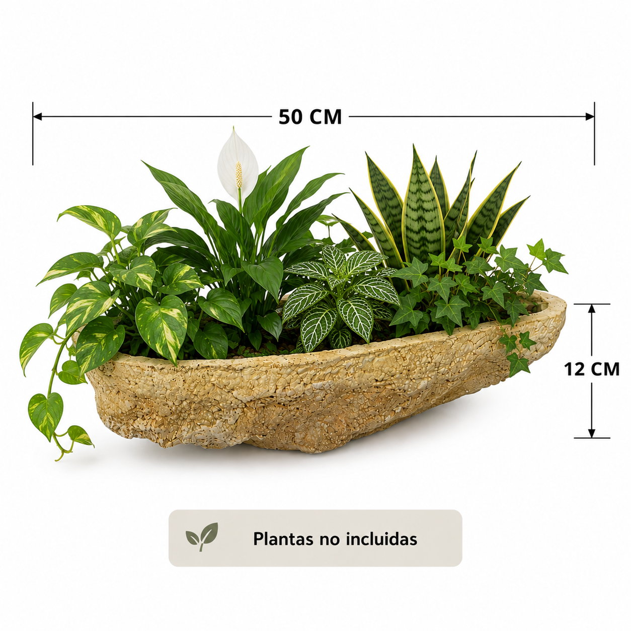 Maceta tipo roca big # 3 con plantas de interior