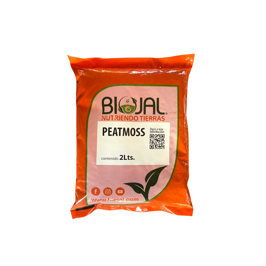 Peat moss