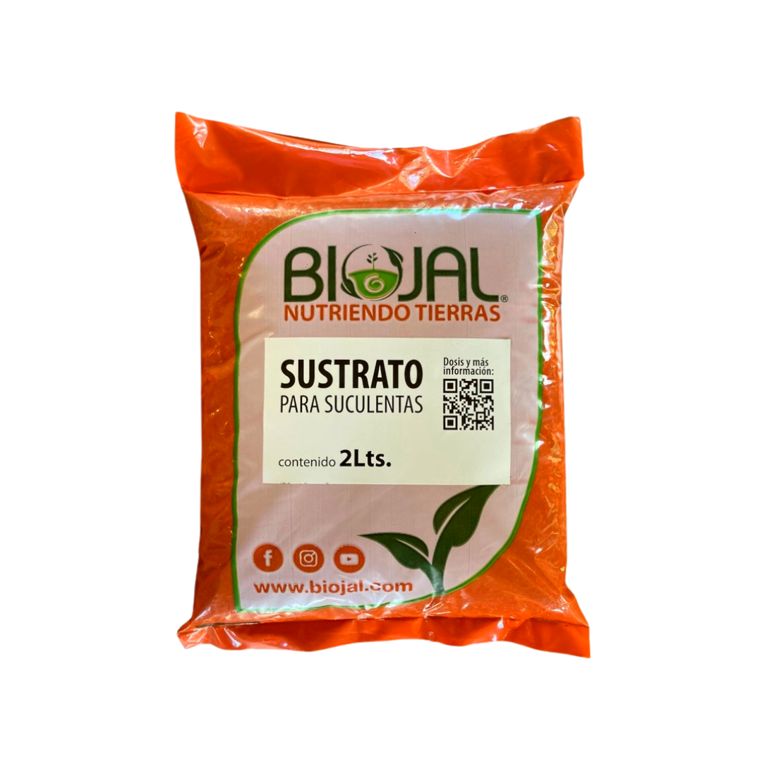 Sustrato para suculentas