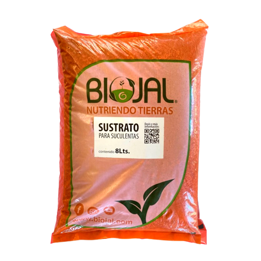 Sustrato para suculentas