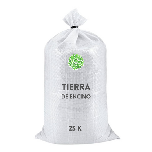 Tierra de encino