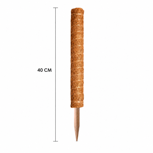 Tutor apilable de fibra de coco de 40 cm para plantas trepadoras con medidas
