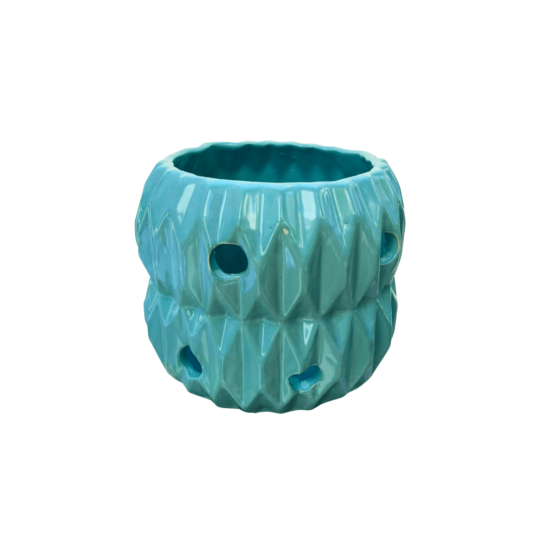 Anturio - Vivo Interior