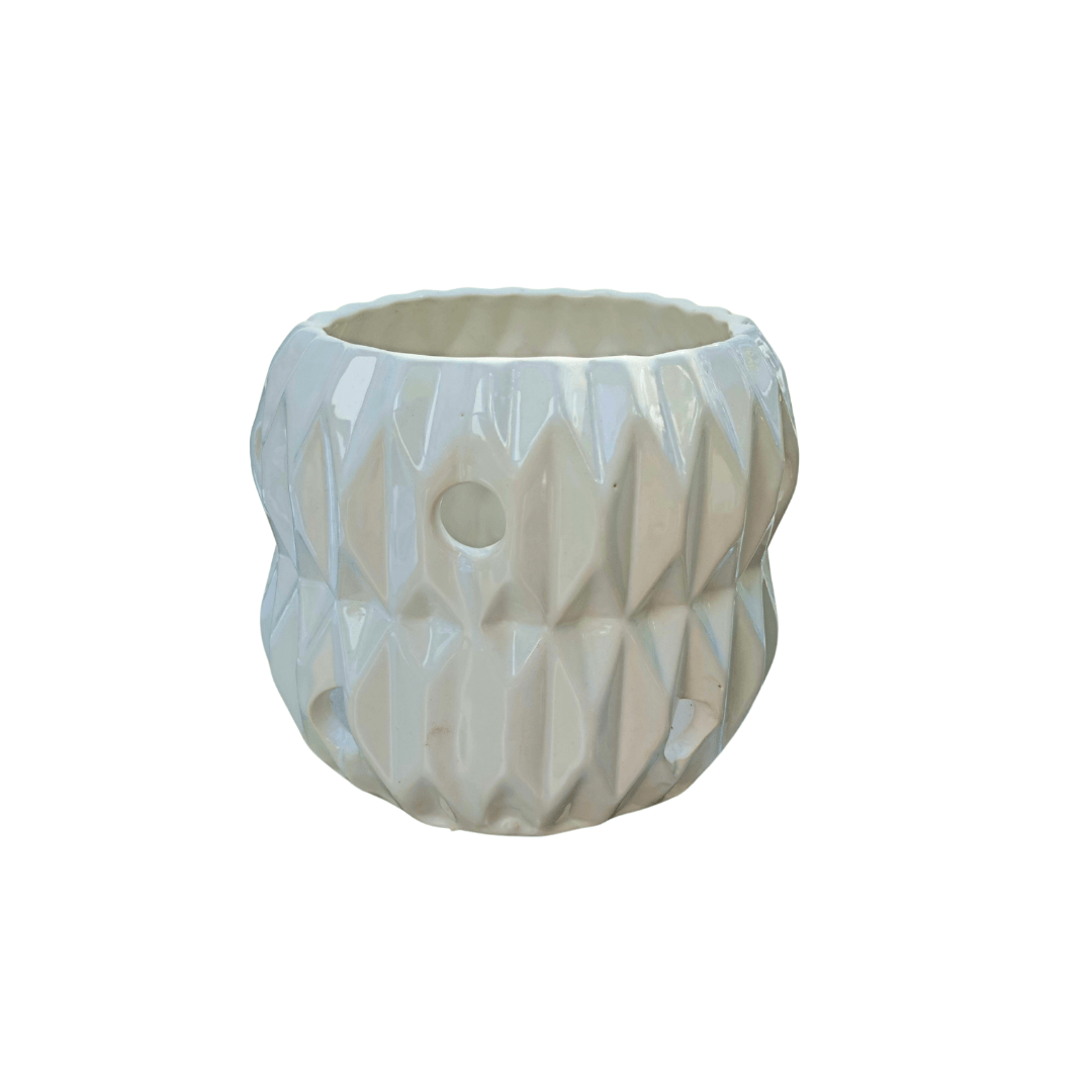 Anturio - Vivo Interior