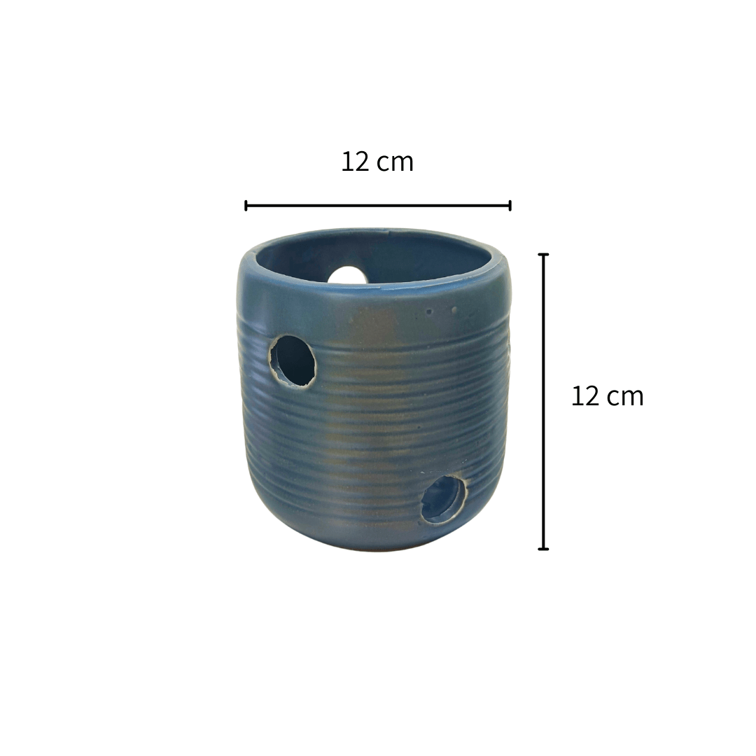 Barrilito orquídea - Vivo Interior