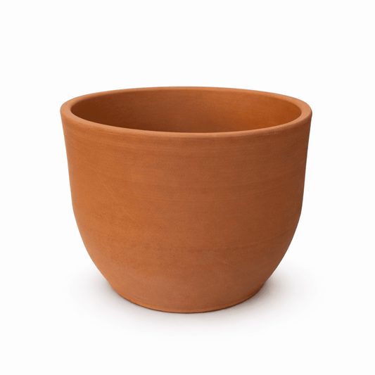 Campana - Vivo Interior