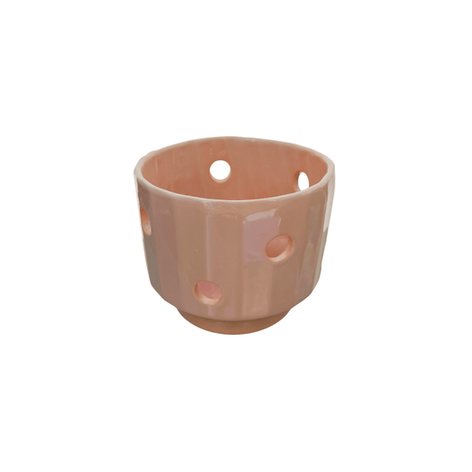 Capricornio orquídea - Vivo Interior