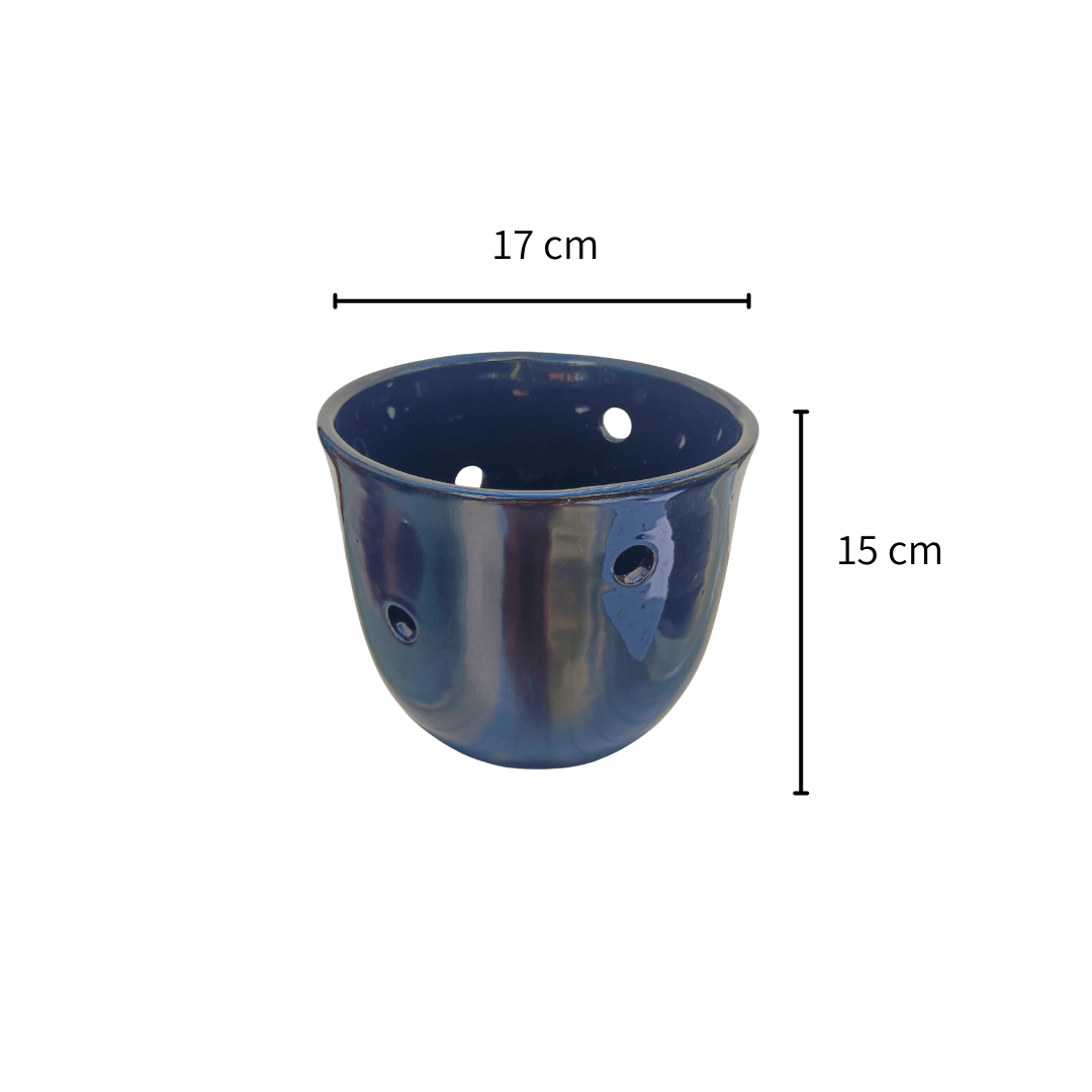 Champañera orquídea - Vivo Interior