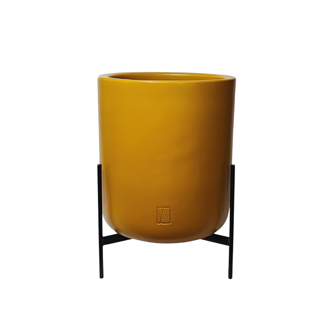 Comala Grande Base - Vivo Interior