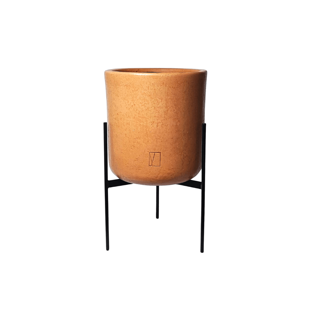 Comala Mediana Base - Vivo Interior