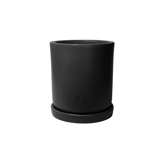 Comala Mediana Plato - Vivo Interior