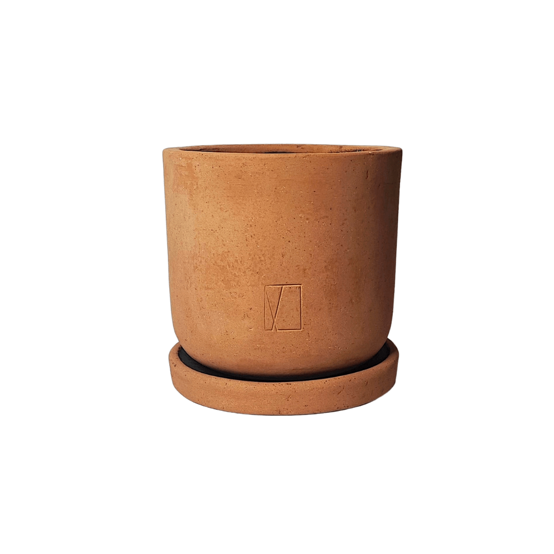 Comala Mini Plato - Vivo Interior