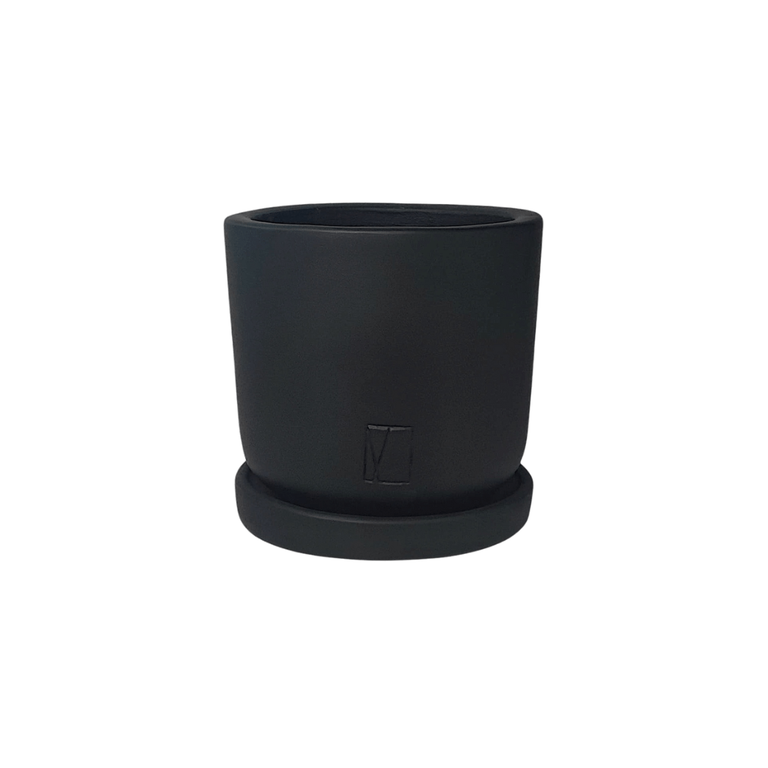 Comala Mini Plato - Vivo Interior