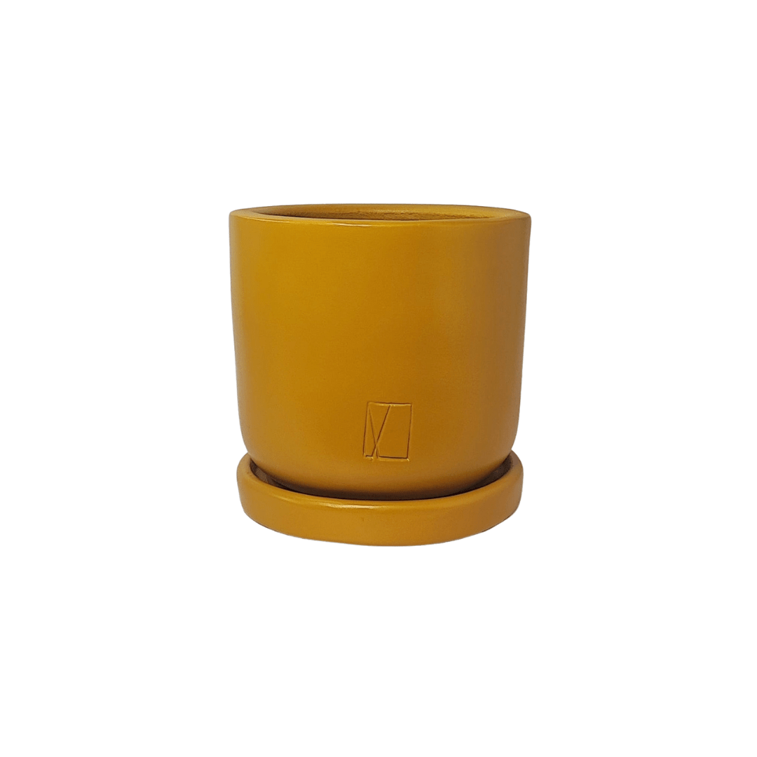 Comala Mini Plato - Vivo Interior