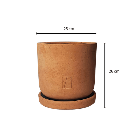 Comala Mini Plato - Vivo Interior