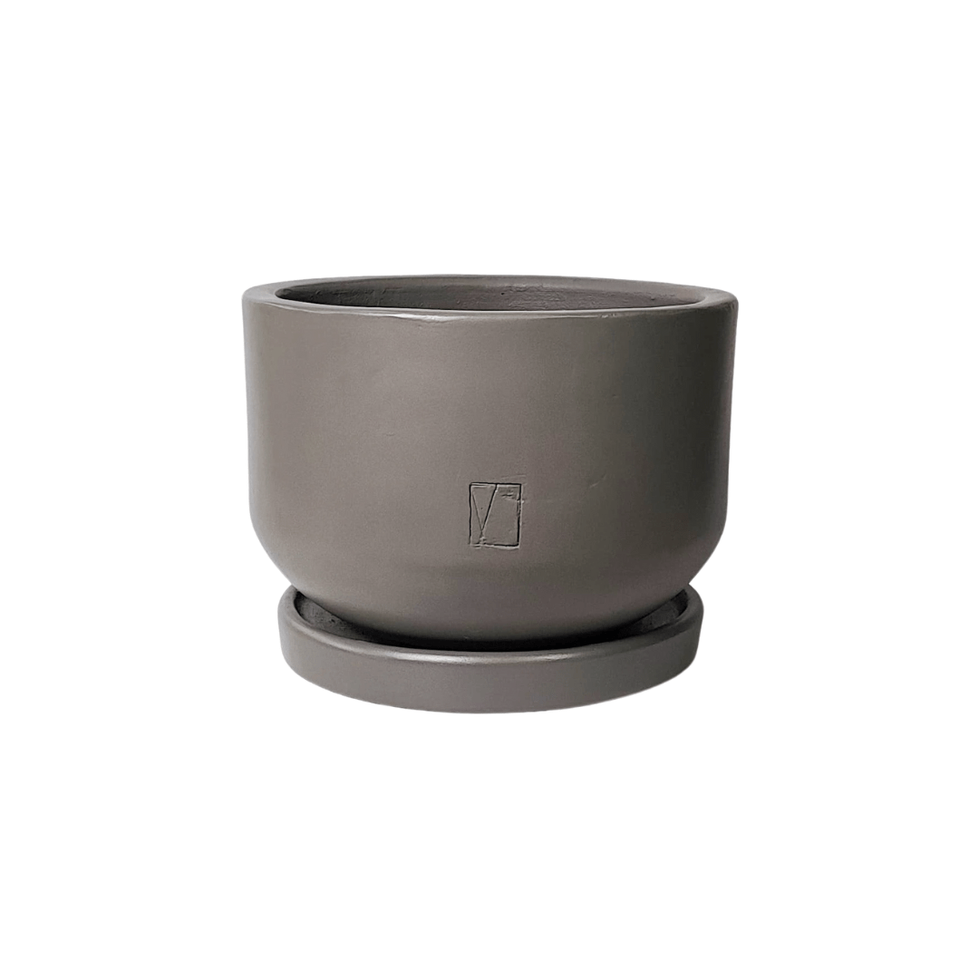 Comala Tazón Chico Plato - Vivo Interior