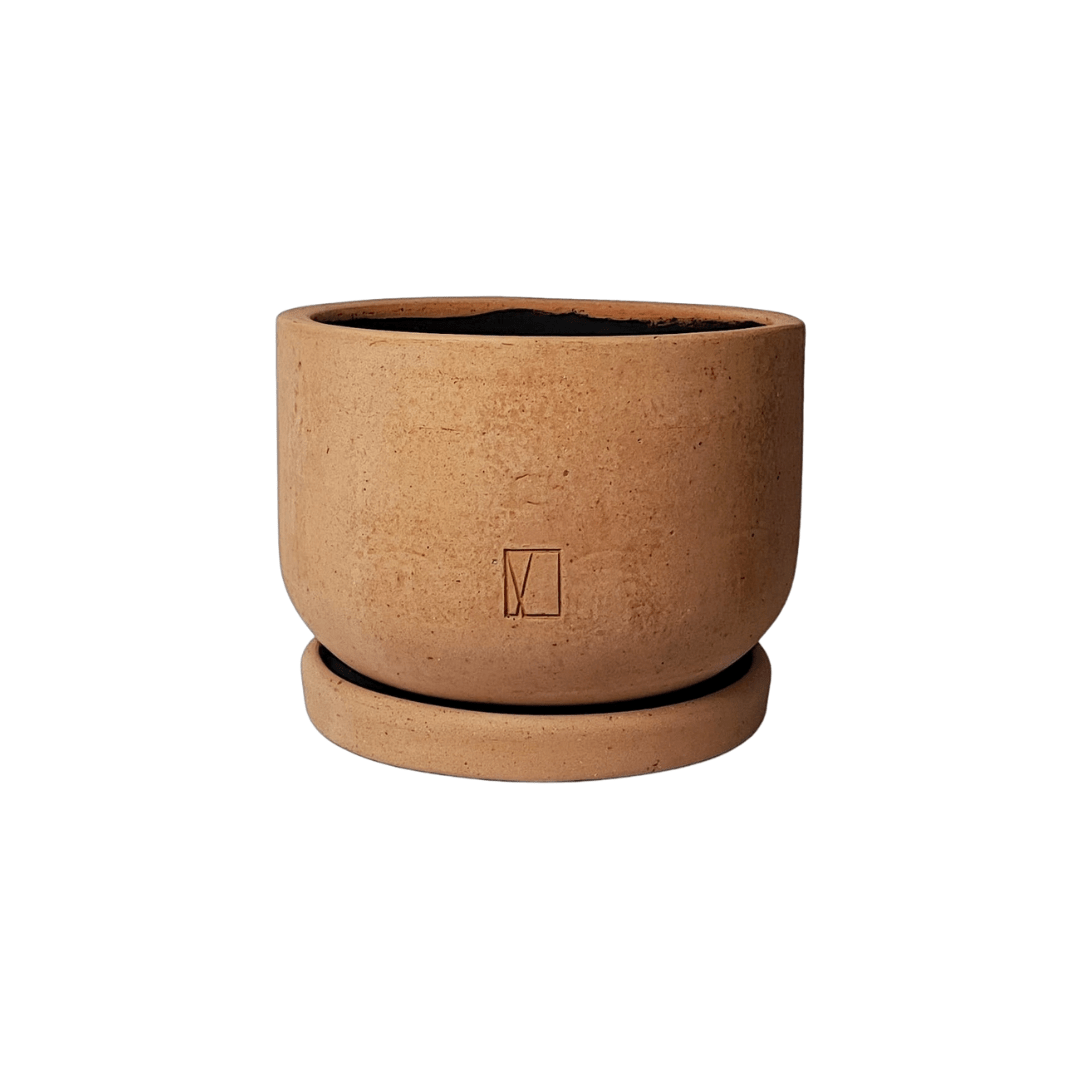 Comala Tazón Chico Plato - Vivo Interior