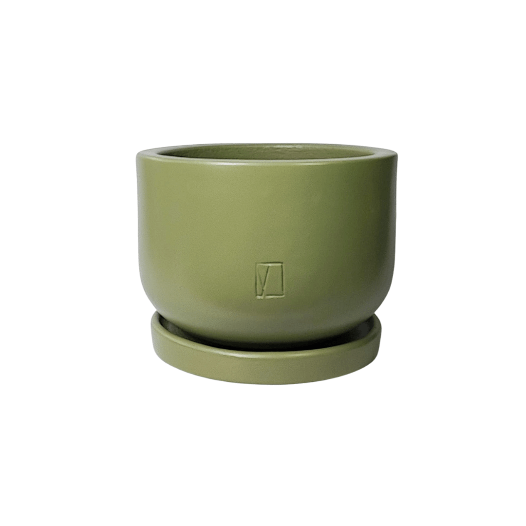 Comala Tazón Chico Plato - Vivo Interior