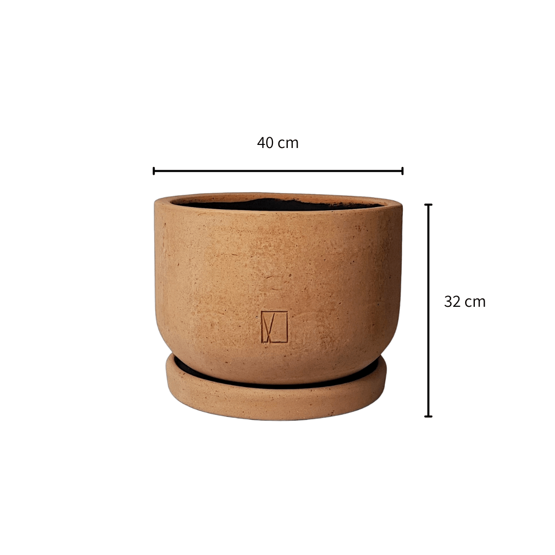 Comala Tazón Chico Plato - Vivo Interior